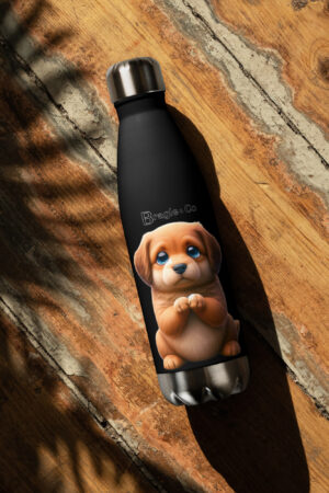 Stainless Steel Water Bottle - Bragle